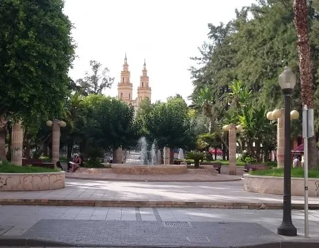 campoamor campoamor