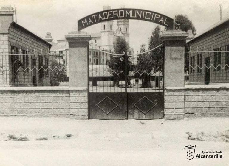 Actual Jardín de Campoamor. 1955