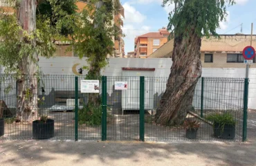 Vista de una de las colonias felinas que hay en Alcantarilla
