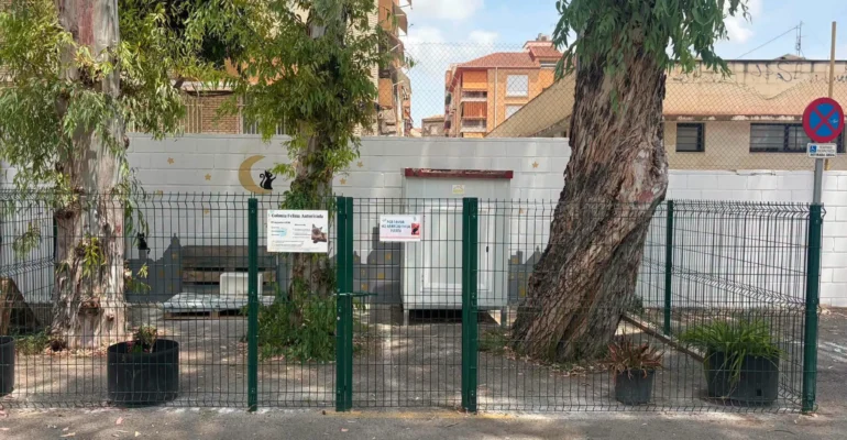 Vista de una de las colonias felinas que hay en Alcantarilla